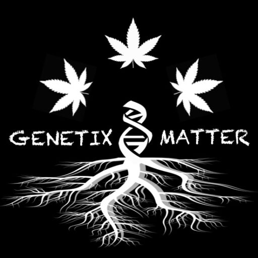 Genetix Matter