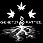 Genetix Matter